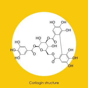 Morpholyss™ Corilagin