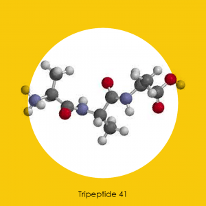 Tripeptide 41