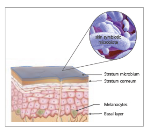 BRIGHTENYL dermatologist