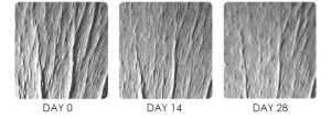 days riboxyl O2 ingredient version skin care